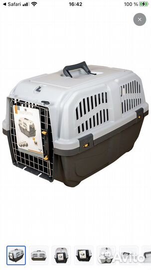 Аренда переноски для кошек и собак