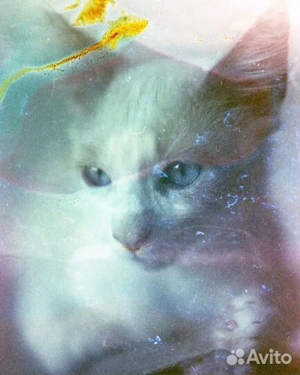 Экспериментальная фотосессия на пленку