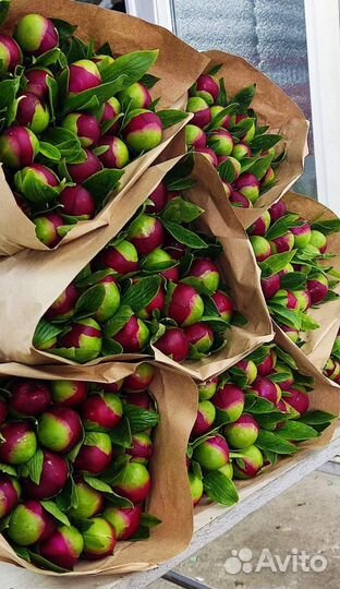 Букет цветов пионы