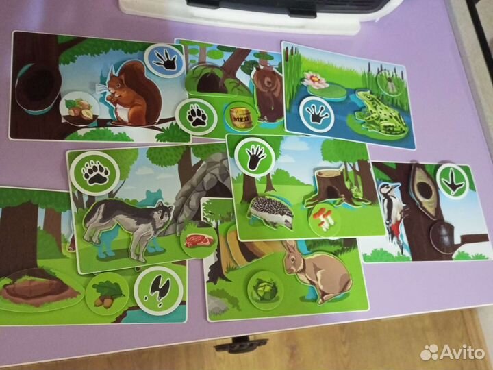 Игра обучающая мир животных