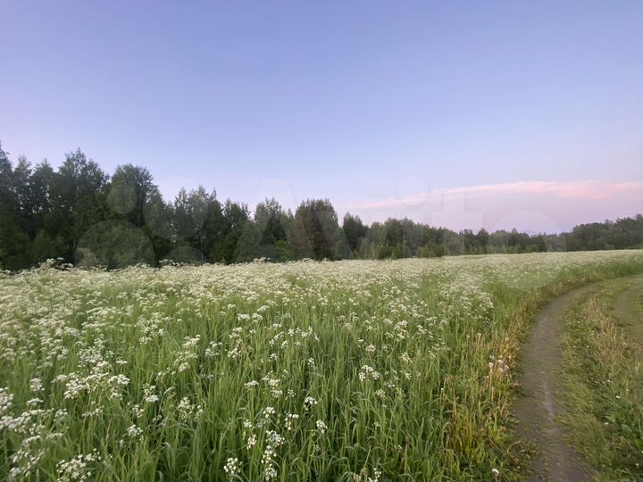 Участок 1,3 га (СНТ, ДНП)