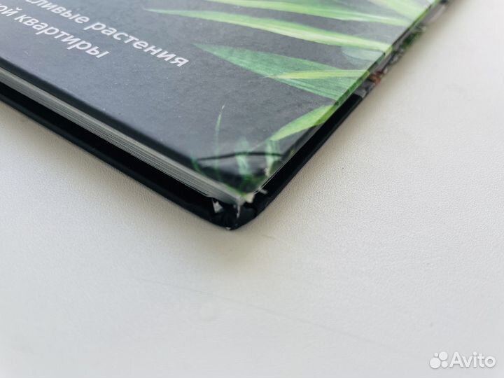 Норвежский сад Андерс Рёйнеберг