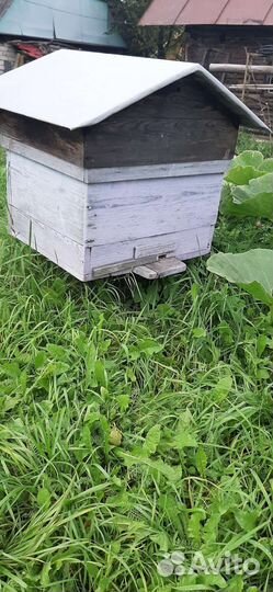 Улей для пчел