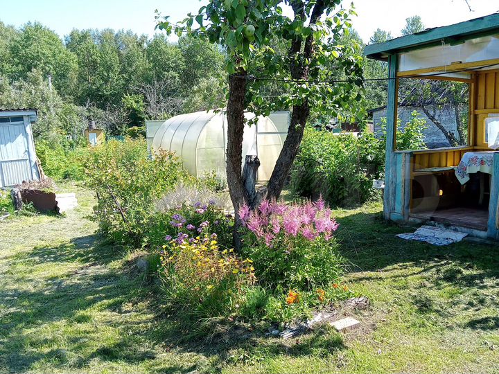 Дом 23,6 м² на участке 4 сот.