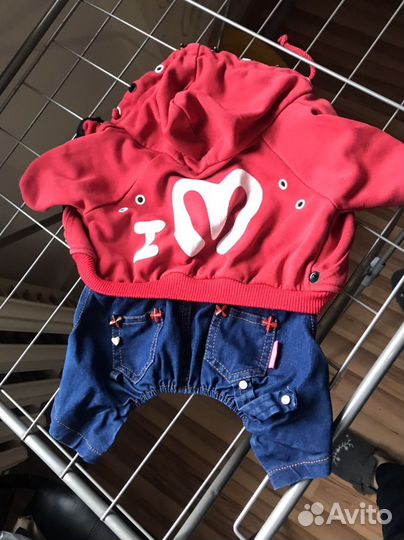 Одежда для маленьких пород собак