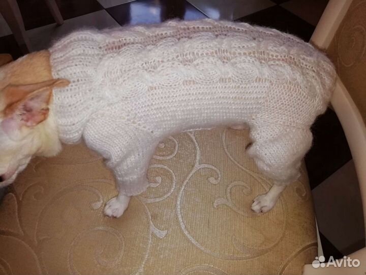 Вязаная одежда для собак и кошек