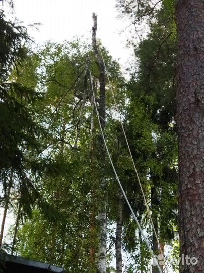 Спил, удаление деревьев по частям, удаление пней