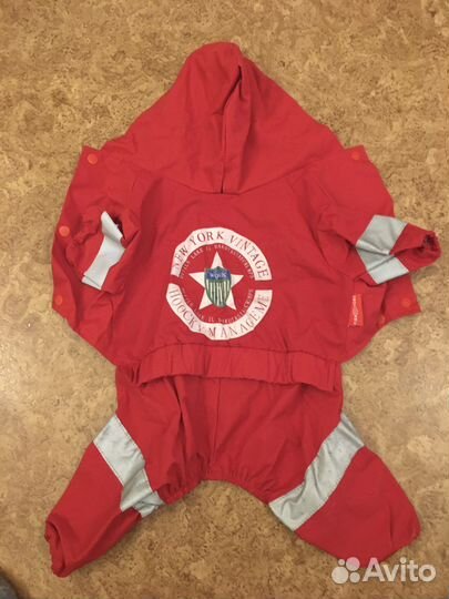 Сумка и одежда для собак