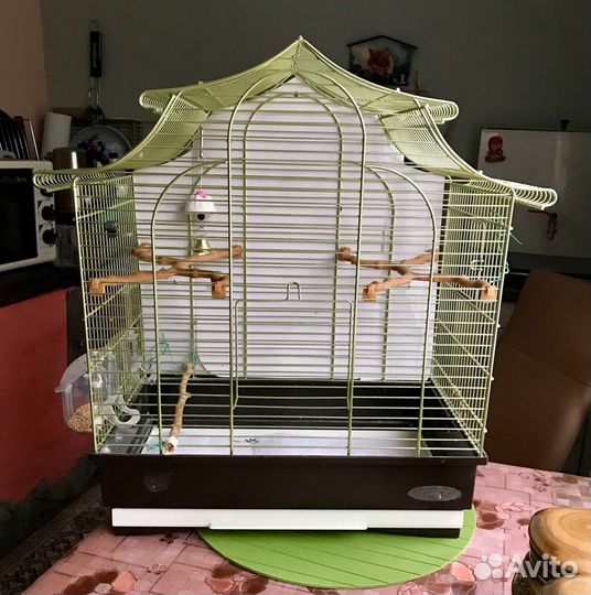 Клетка для попугаев (Италия)