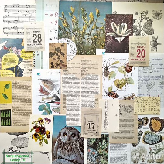 Ботанический набор для джанкбука (скрапбукинг)