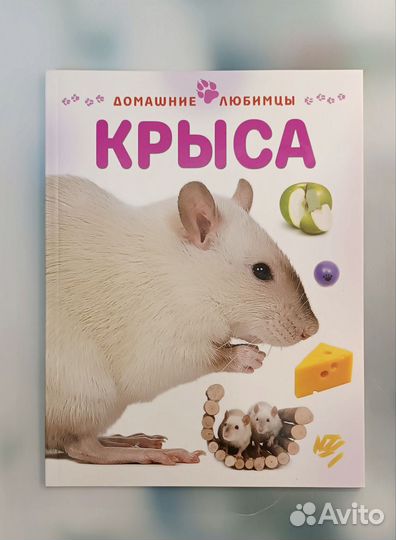 Новые книги 