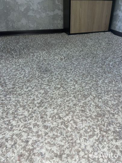 Ковры и паласы