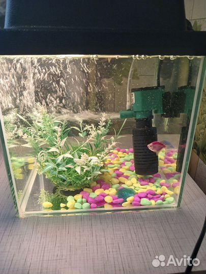Аквариум 10 литров