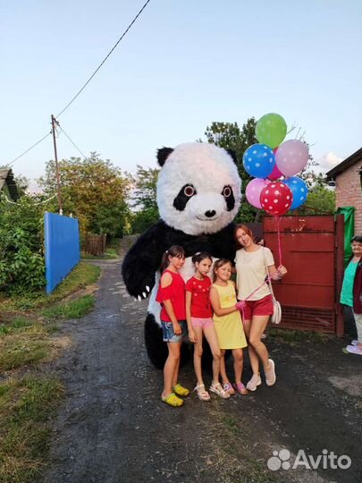 Большой белый медведь, аэрокостюм