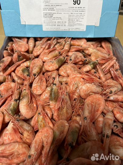 Креветка Северная 90+