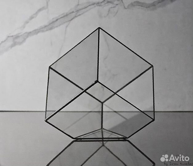 Флорариум, подарок