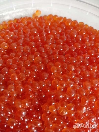 Красная икра