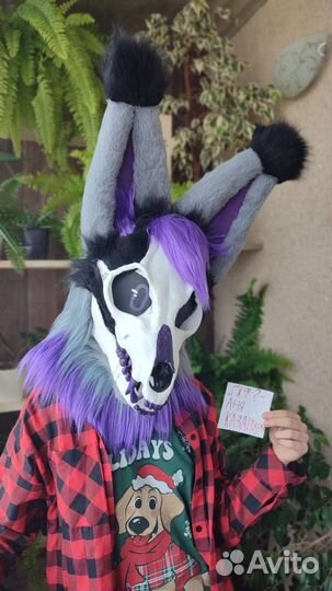 Фурсьют Скалл дог