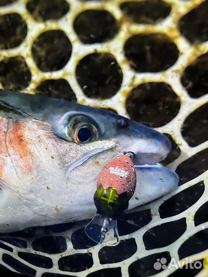 Воблер Jackall Egg Nuts