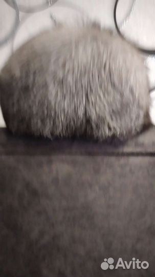 Берет из чернобурки