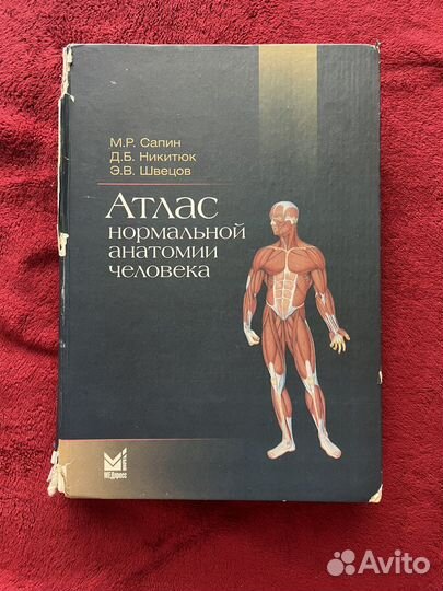 Атлас анатомии человека Сапин