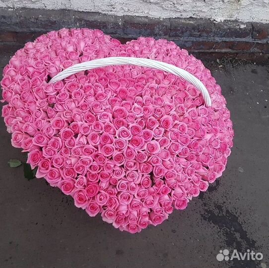 101 роза 51 роза Цветы