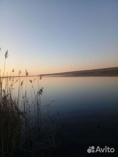 База отдыха Голубая Волна