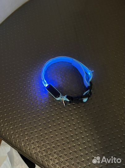 Ошейник для кошки/маленькой собаки