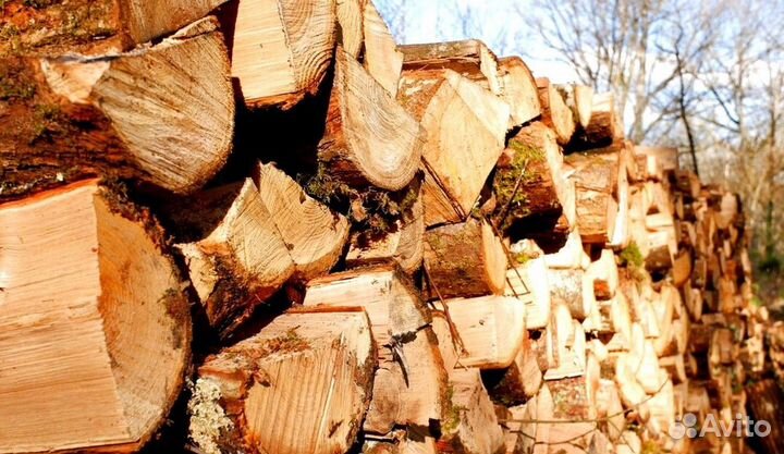 Дрова жаркие