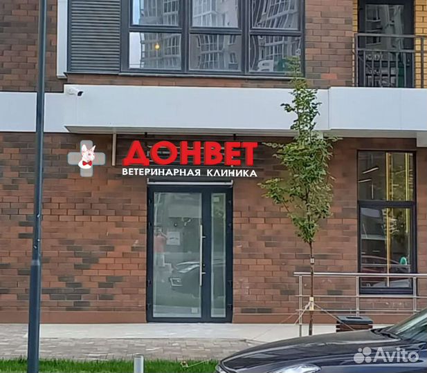 Ассистент ветеринарного врача