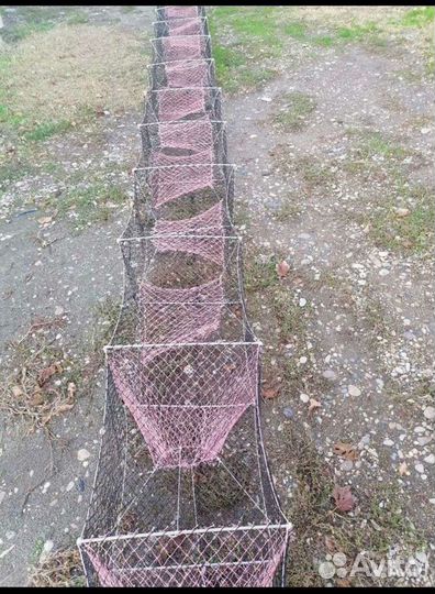 Раколовки дорожки