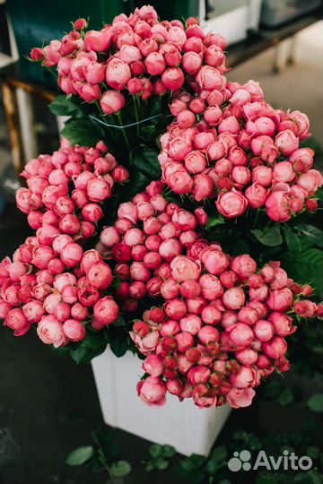 Букет из кустовой розы Сильва Пинк и эвкалипта