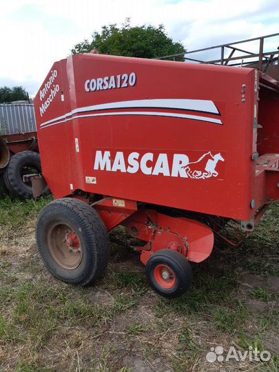 Сено зерно ячмень 10р