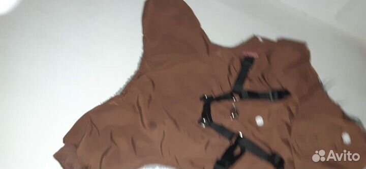 Комбинезон для собачки мальчик Б/У