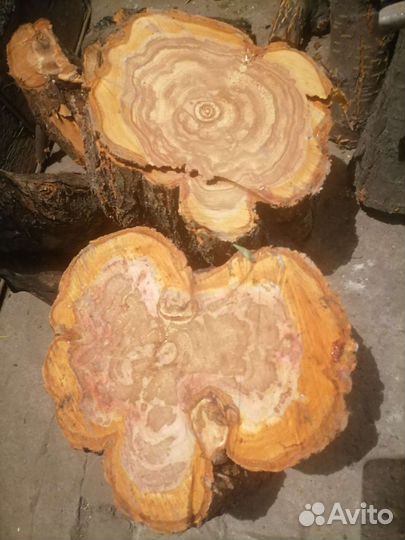 Слива для поделок слэб