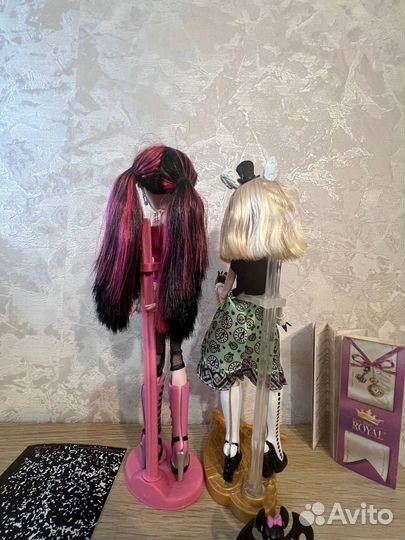 Куклы Monster High Ever и After High