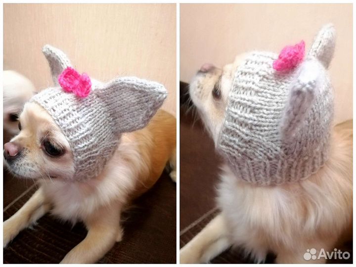 Шапочки для собак