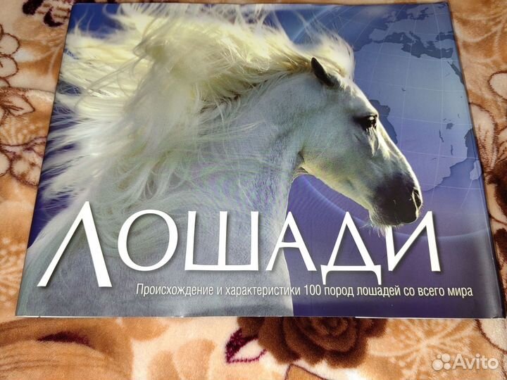 Книга про лошадей (энциклопедия)