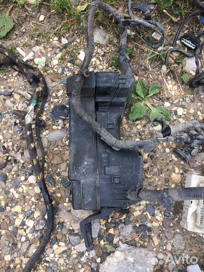 Электропроводка, мозги, блоки лифан