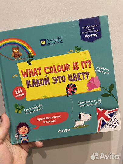 Книга для детей изучение цветов на английском