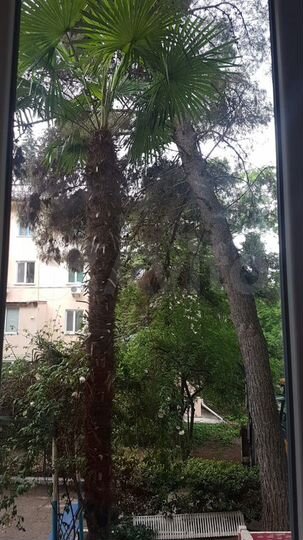 2-к. квартира, 43 м², 1/4 эт.