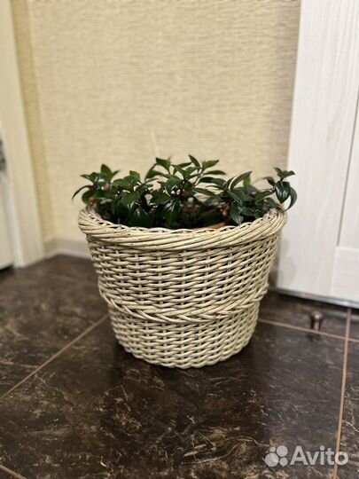 Кашпо из ротанга