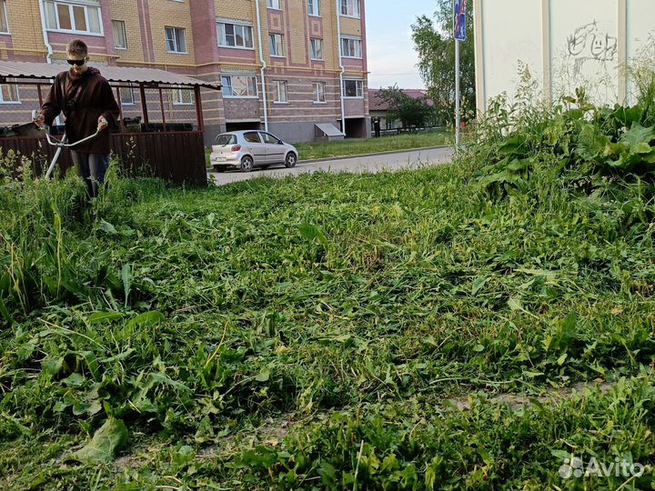 Покос травы триммером