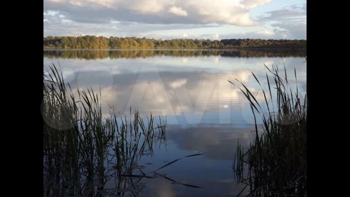 Участок 15 сот. (ИЖС)