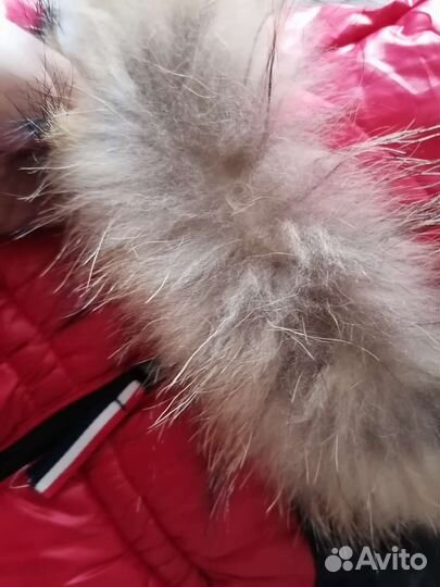 Комбинезон moncler