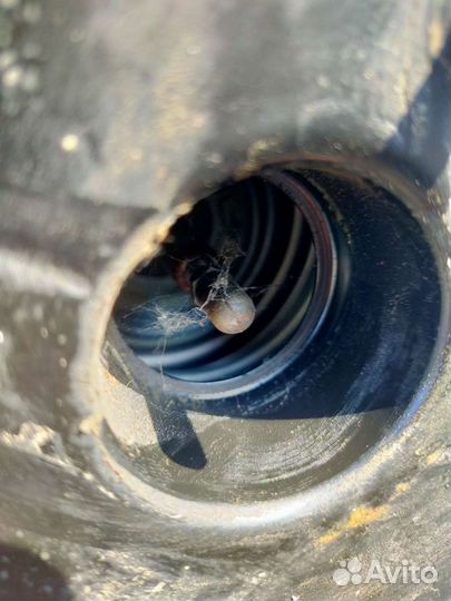 Вакуумный усилитель тормозов Ниссан Эльгрант