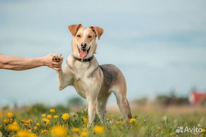 Ищем активных людей для активной Герды
