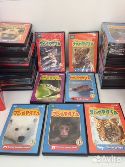 Твои веселые друзья зверята DVD коллекция