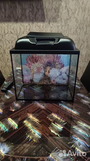 Аквариум