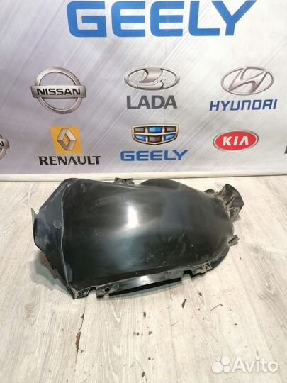 Подкрылок задний Renault duster Лев